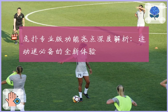 虎扑专业版功能亮点深度解析：运动迷必备的全新体验