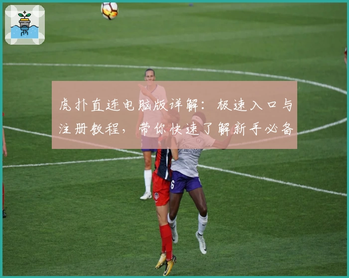 虎扑直连电脑版详解：极速入口与注册教程，带你快速了解新手必备功能亮点