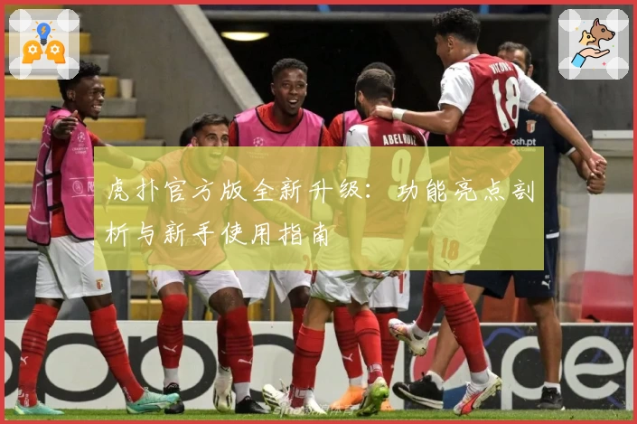 虎扑官方版全新升级：功能亮点剖析与新手使用指南