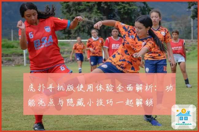 虎扑手机版使用体验全面解析：功能亮点与隐藏小技巧一起解锁